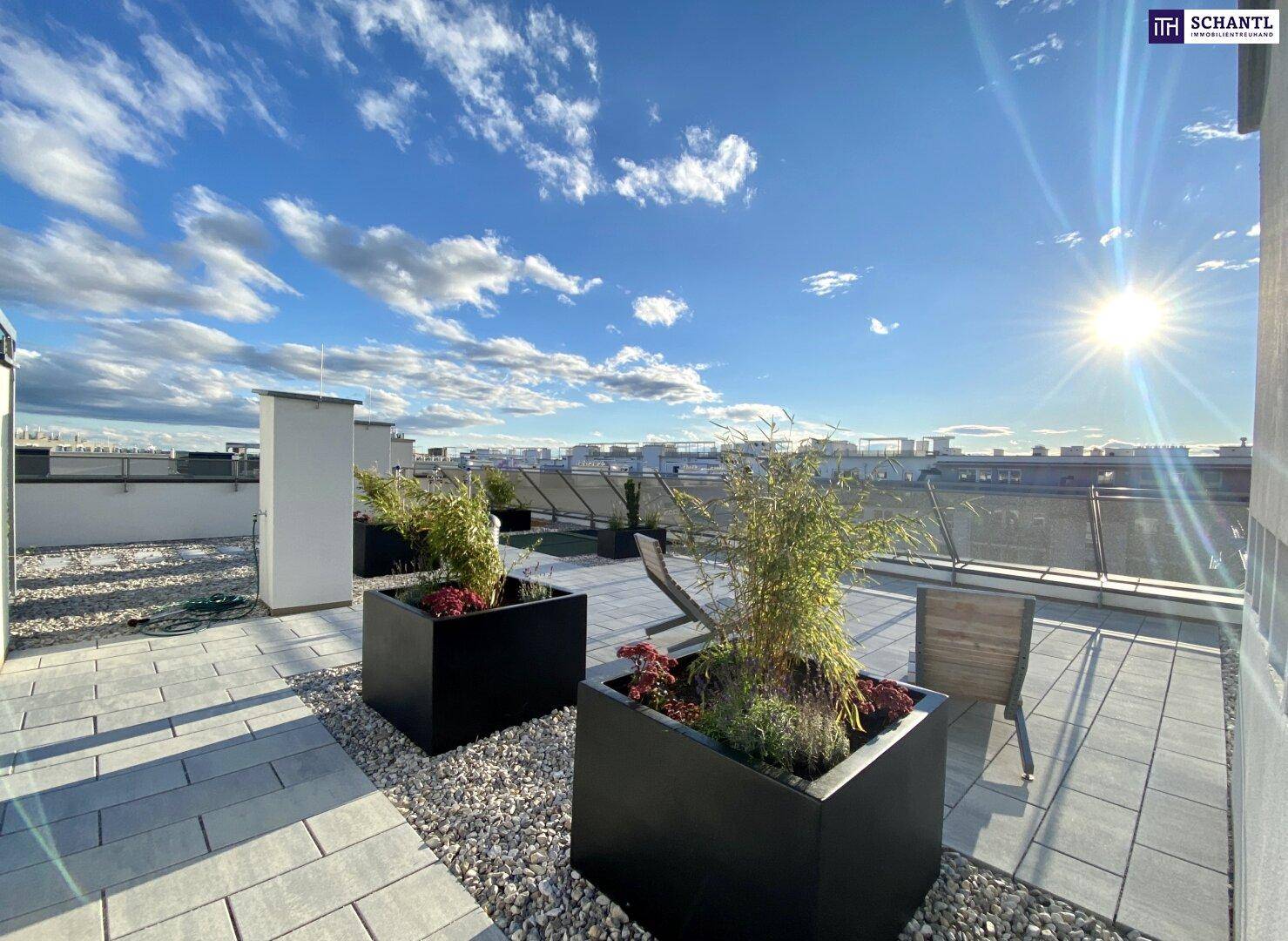 Sonnige Dachterrasse mit modernen Pflanzkübeln, Kiesflächen und Liegestühlen zum Entspannen.