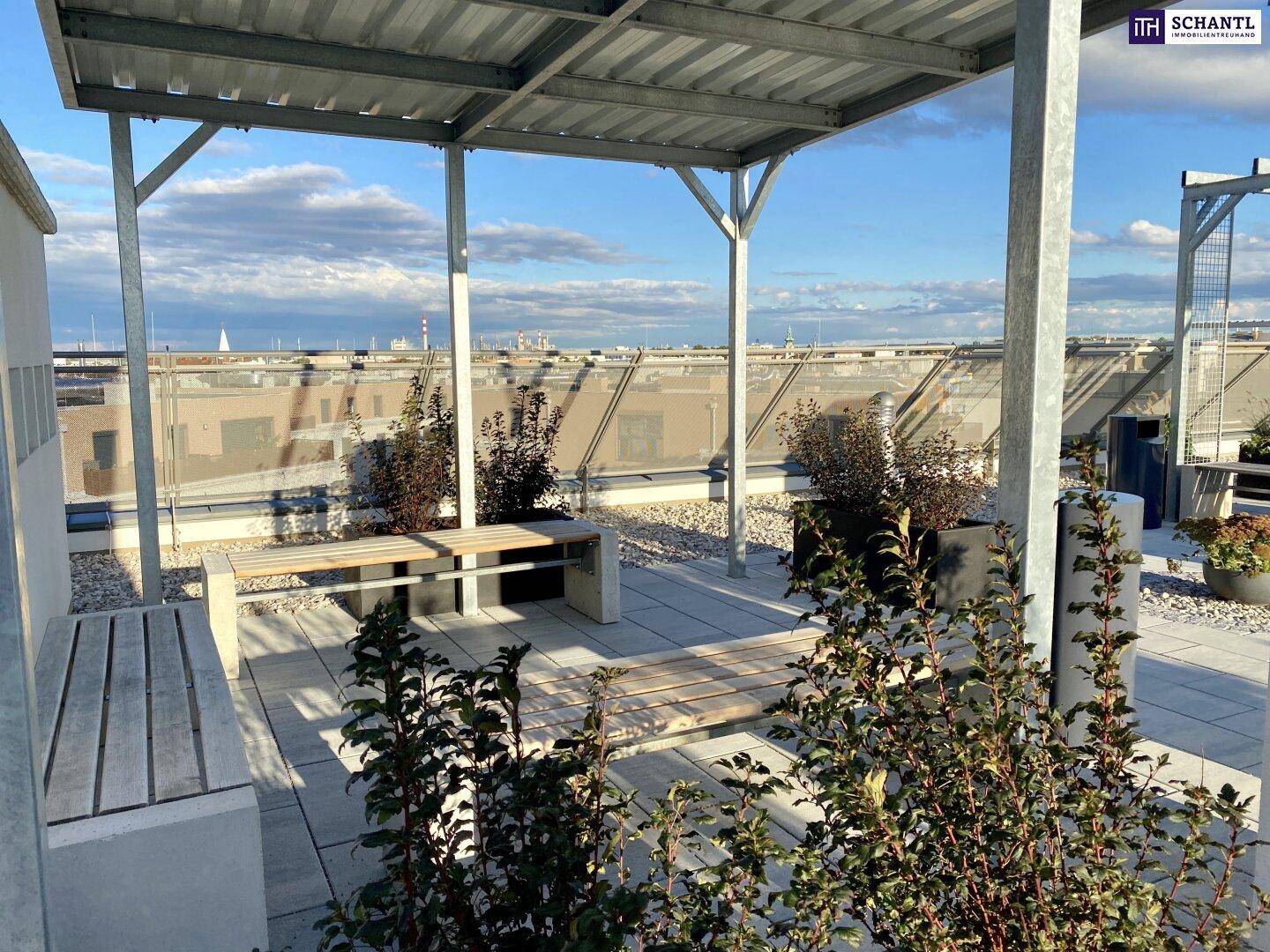 Gemütliche Dachterrasse mit Sitzbänken und Pflanzen, ideal zum Entspannen und Verweilen im Freien.