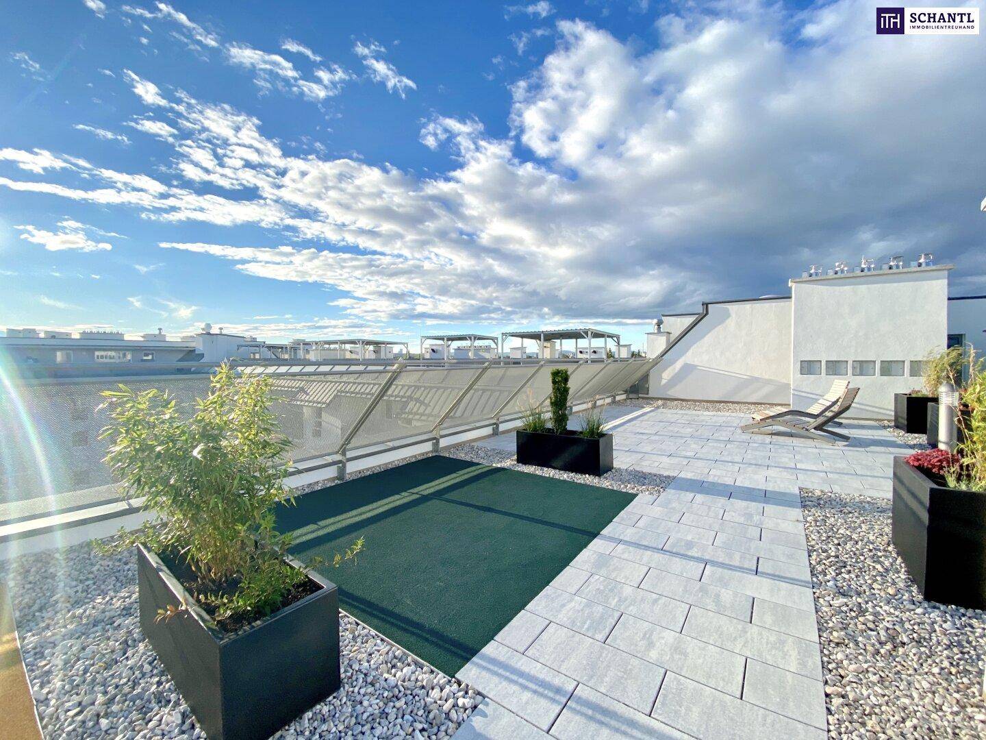 Weitläufige Dachterrasse mit verschiedenen Sitzbereichen und grünen Akzenten unter weitem Himmel.