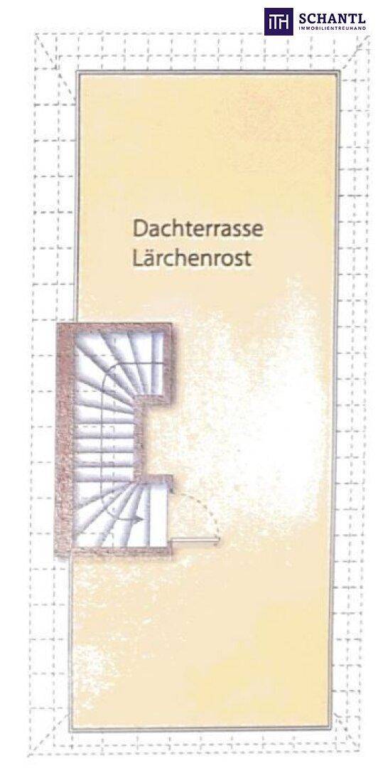 Slide 11