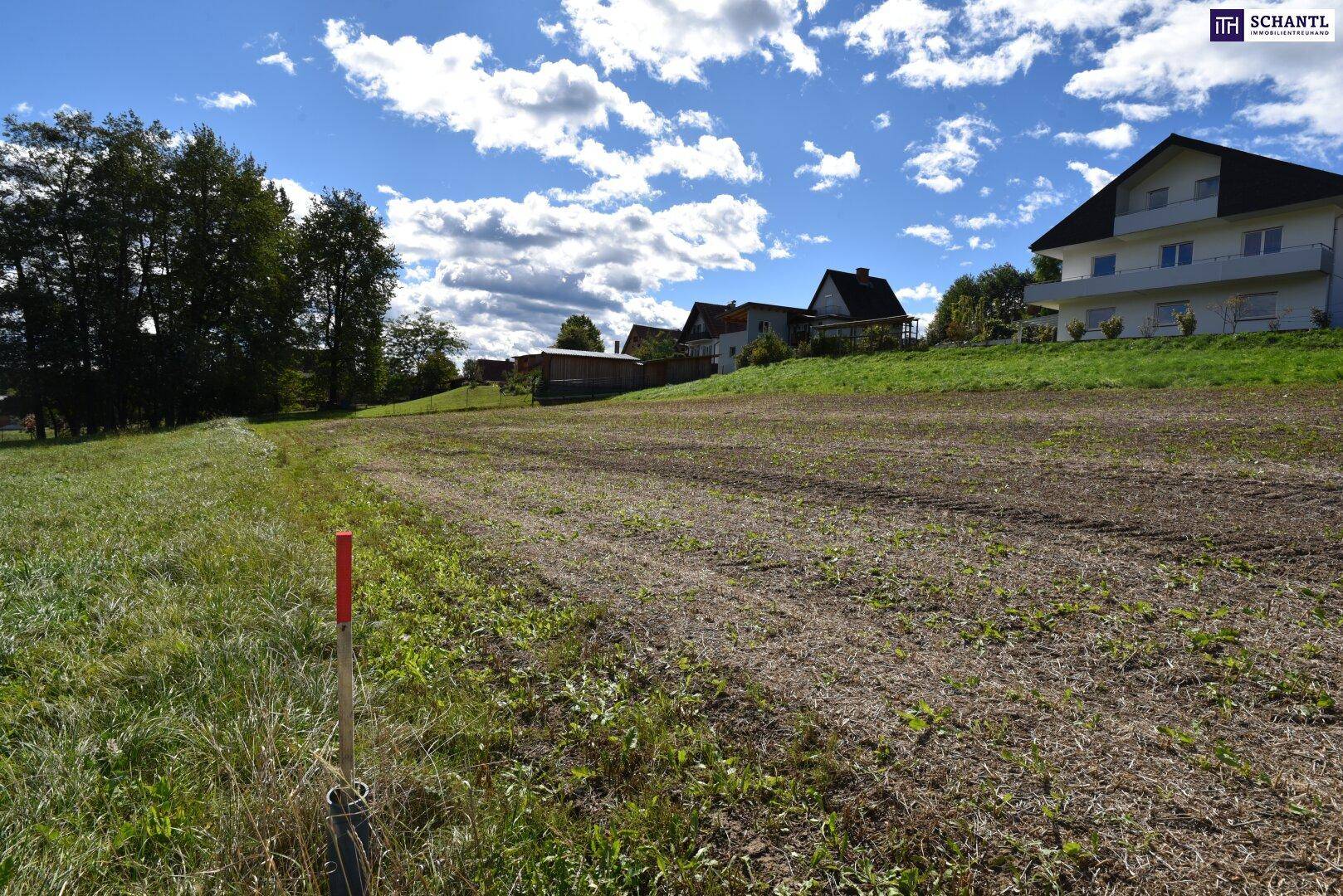 Grünfläche mit einem roten Markierungspfahl im Vordergrund und Häusern am Waldrand.