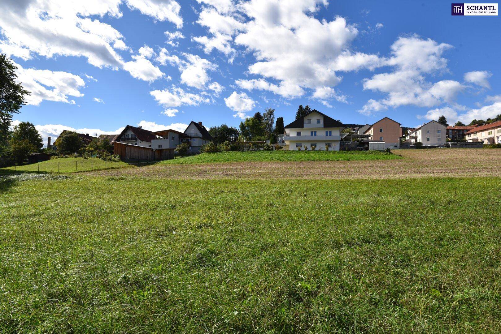 Blick über ein weites Feld auf eine Reihe von Wohnhäusern und bewaldete Hügel in der Ferne.