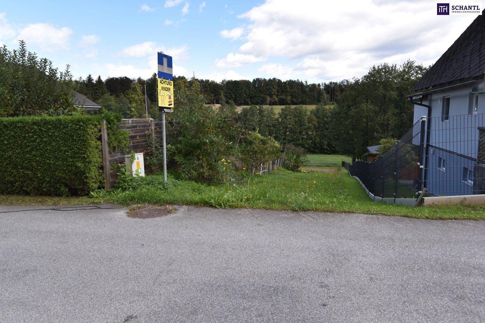 Straße mit einem blauen Schild, einer Hecke und einem Haus, umgeben von viel Grün.
