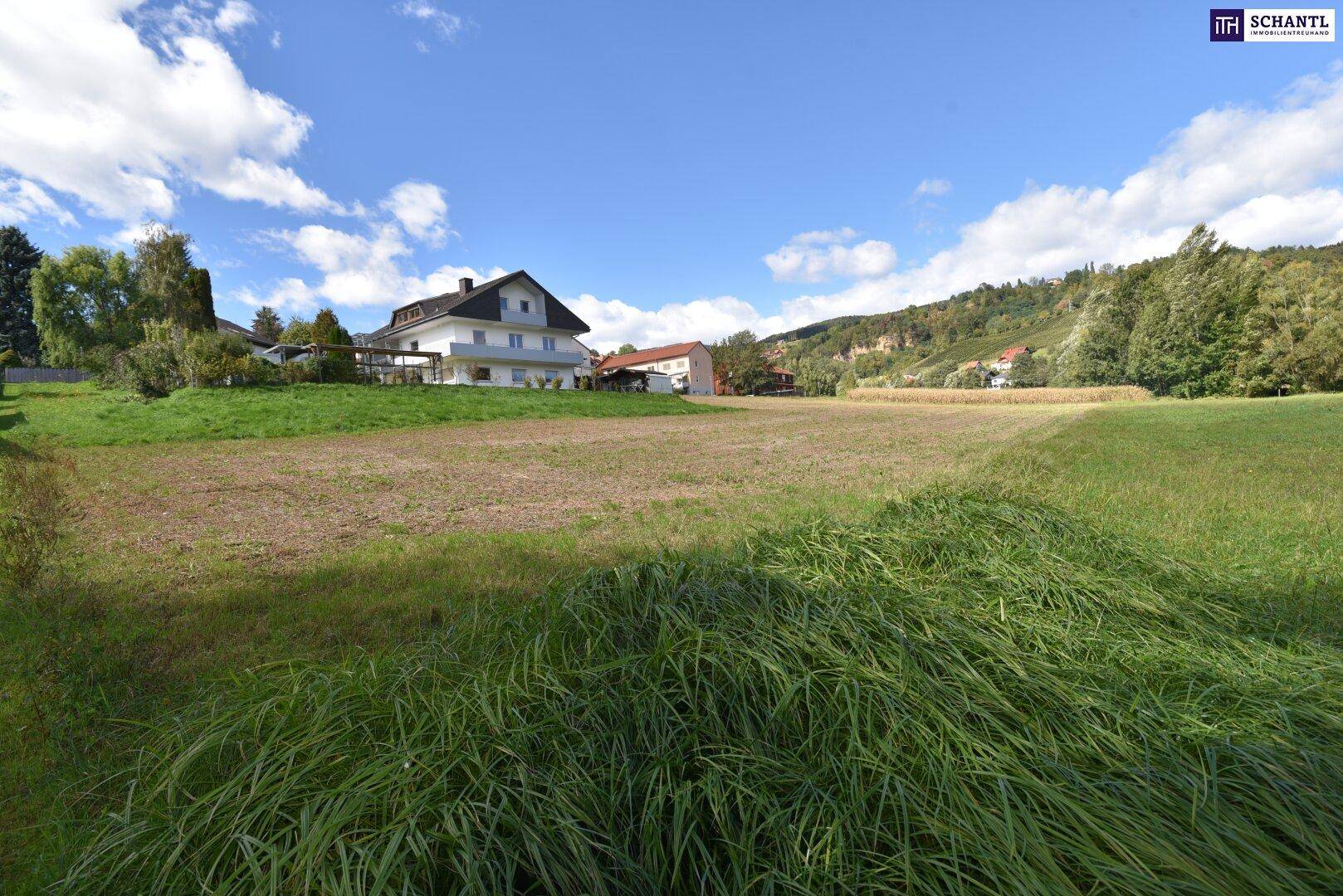Offenes Feld mit hohem Gras im Vordergrund und Häusern am Horizont unter einem sonnigen Himmel.