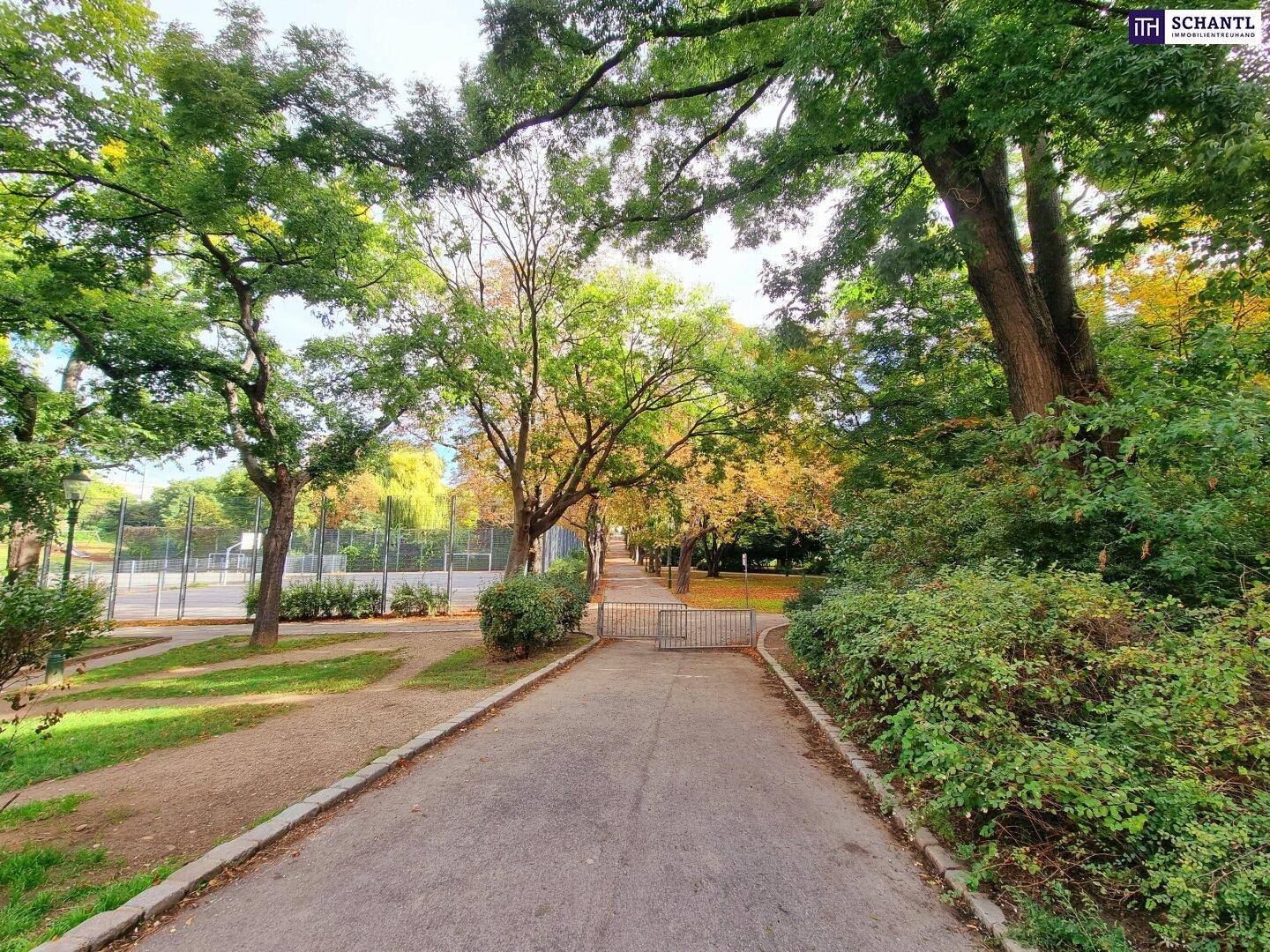Grüner Parkweg umgeben von Bäumen und üppiger Vegetation an einem sonnigen Tag.