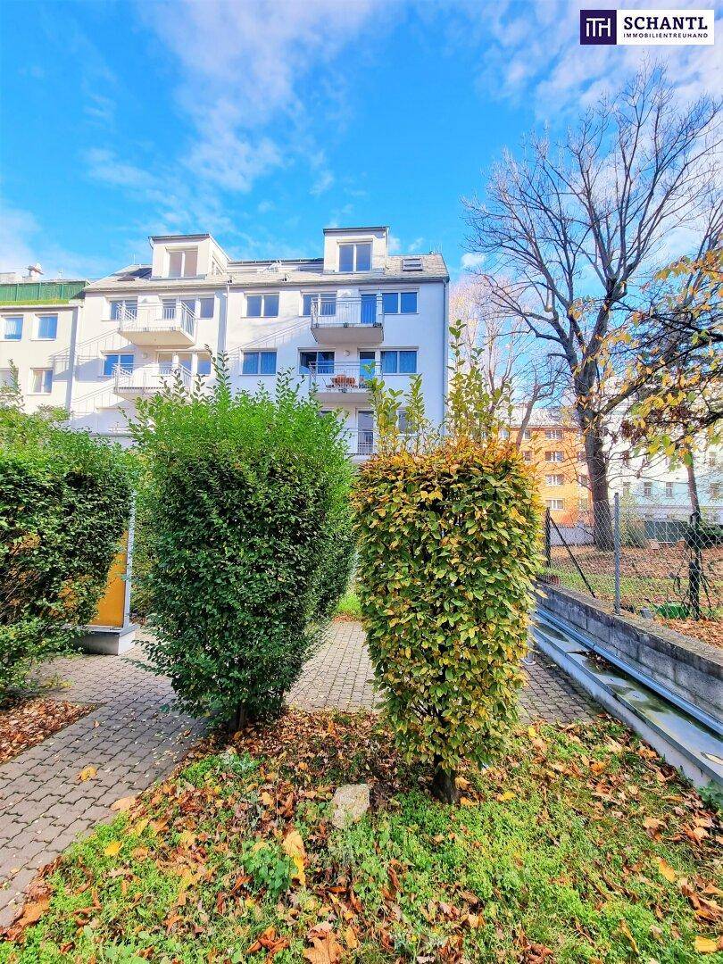 Ruhiger Gartenbereich mit gepflastertem Weg und hohen Hecken, der eine private Atmosphäre schafft.