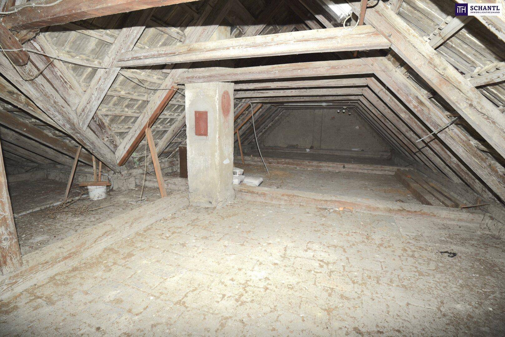 Unausgebauter Dachboden mit sichtbaren Holzbalken und Dachstuhl, ideal für einen Ausbau.