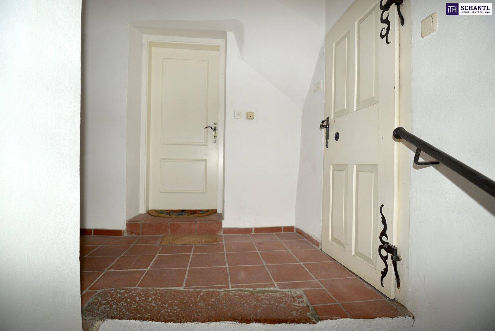 Eingangsbereich mit Terrakottafliesen und zwei traditionellen Holztüren in hellem Farbton.