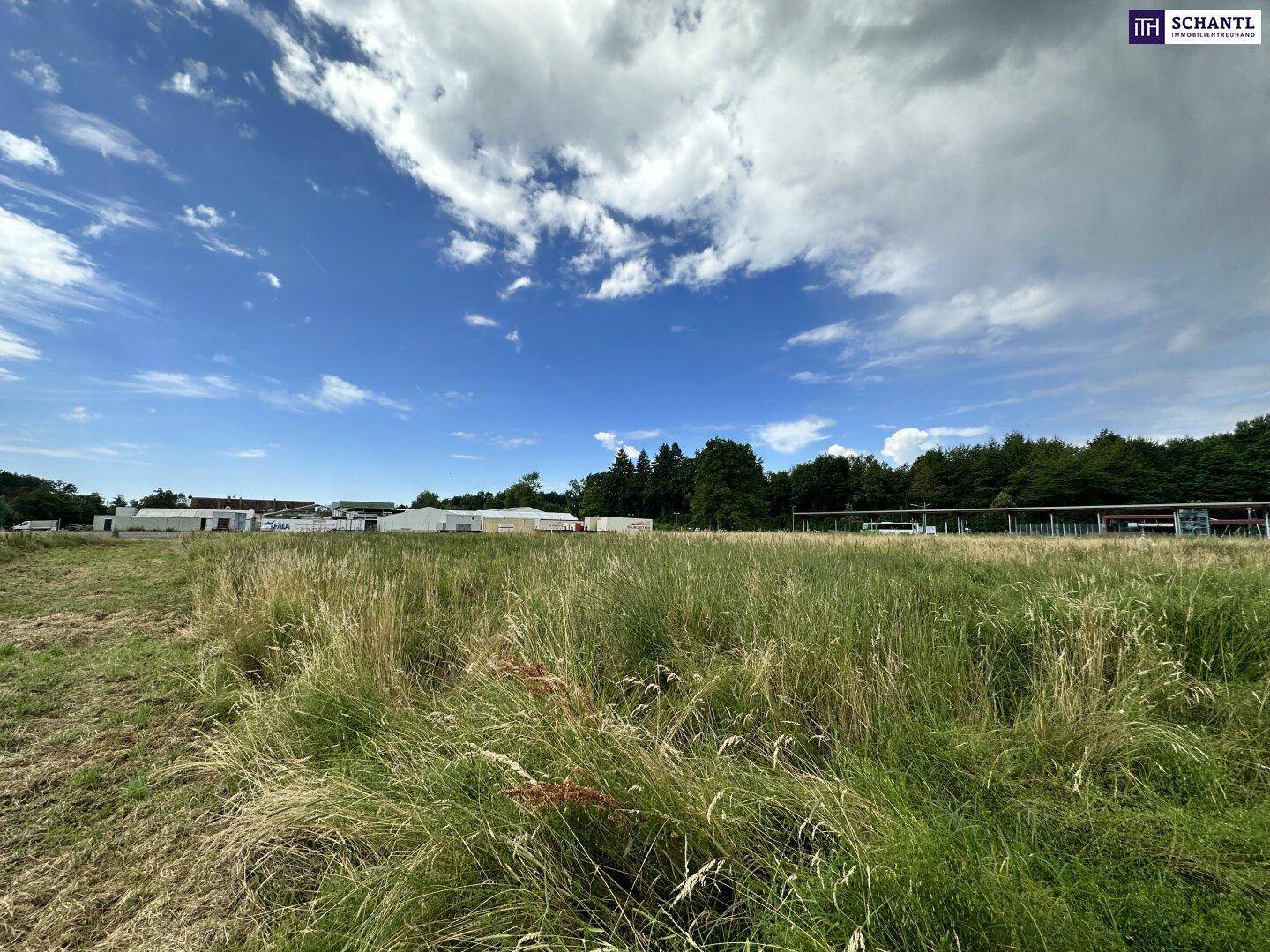 Weite Grasfläche unter blauem Himmel mit vereinzelten Gebäuden und Bäumen im Hintergrund.