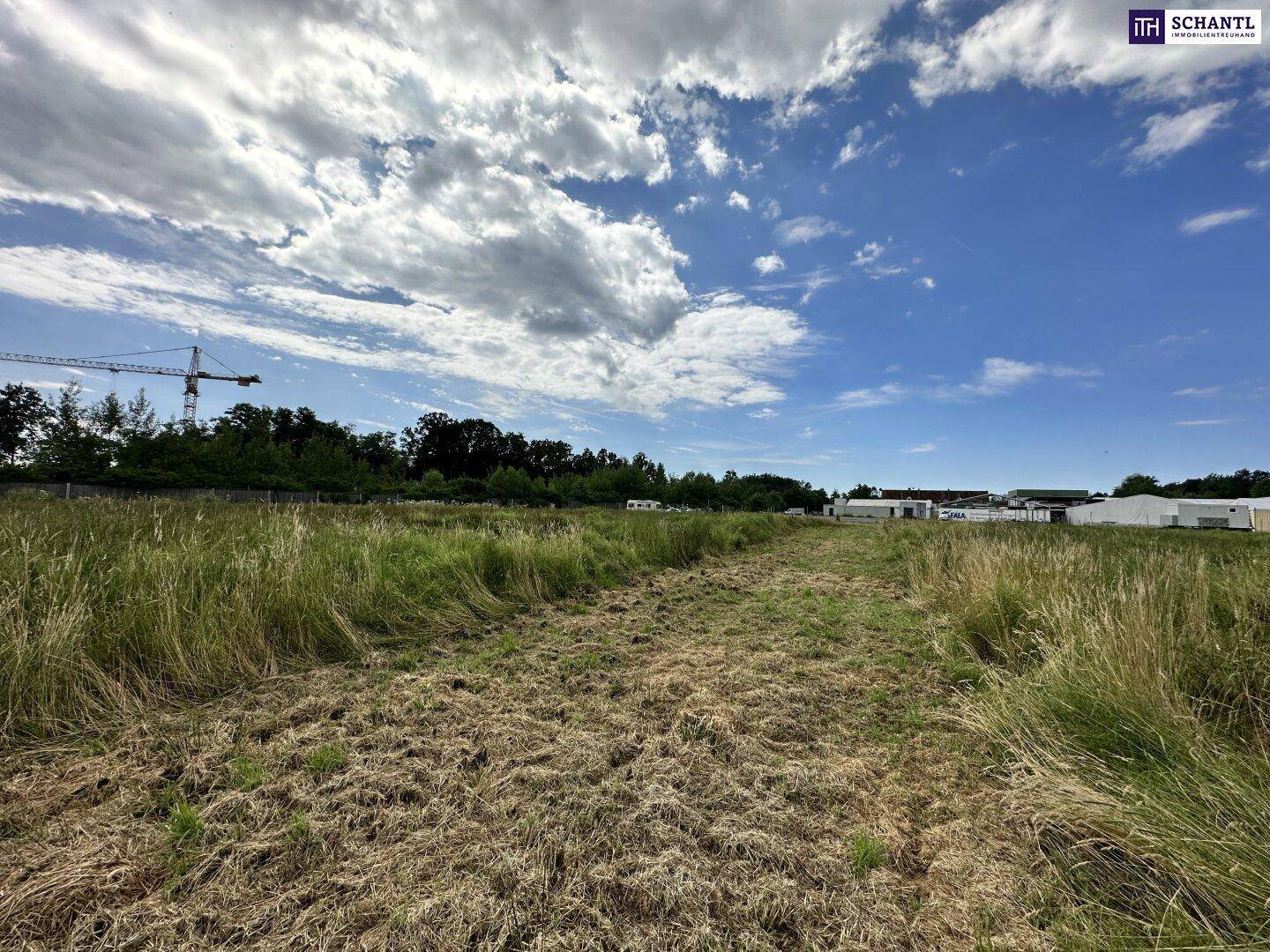 Gemähter Pfad durch ein weites Grasfeld unter blauem Himmel mit Wolken und entfernten Gebäuden.
