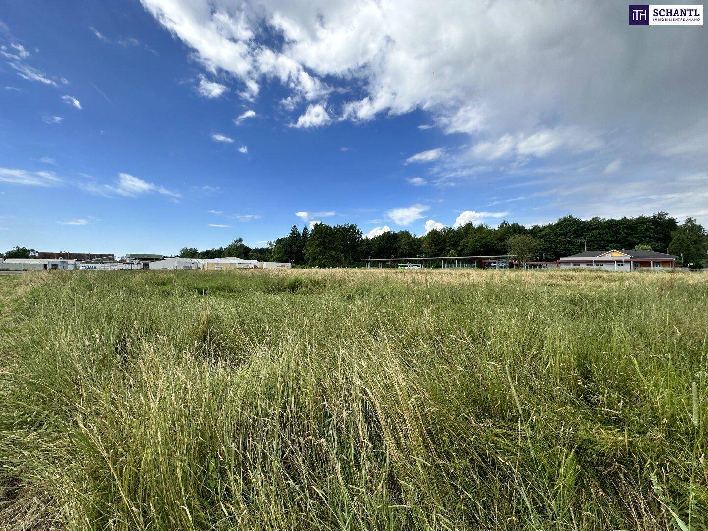 Ausgedehnte Graslandschaft unter einem hellblauen Himmel, mit Bäumen und Gebäuden am Horizont.