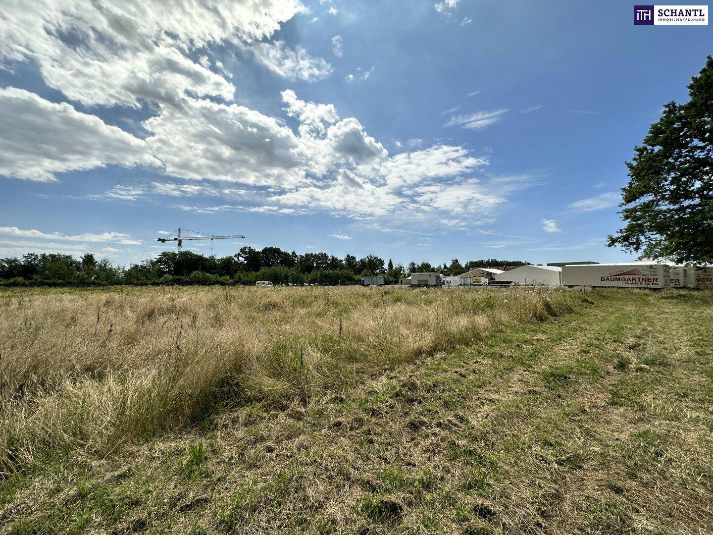Weites Grasland unter einem dynamischen Himmel, mit einem Baukran und Gebäuden in der Ferne.
