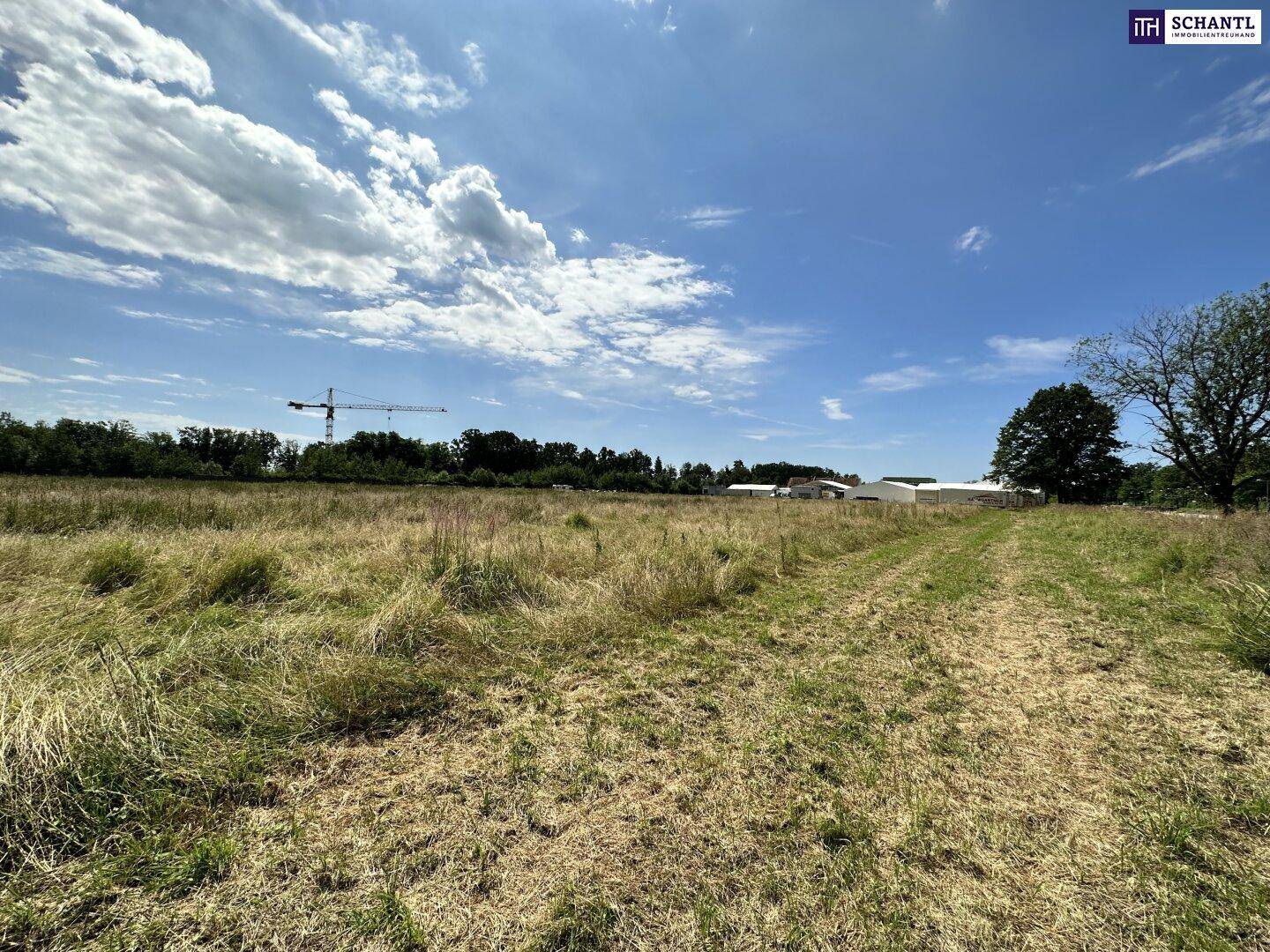Offene Grasfläche unter einem weiten Himmel, mit einem Baukran und Gebäuden am Horizont.