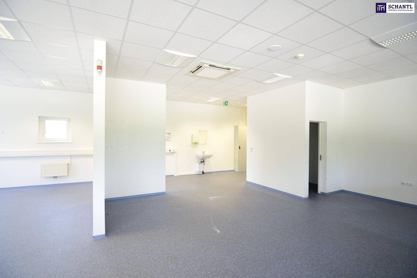 Offener Bürobereich mit Teppichboden, Waschbecken und abgehängter Decke.