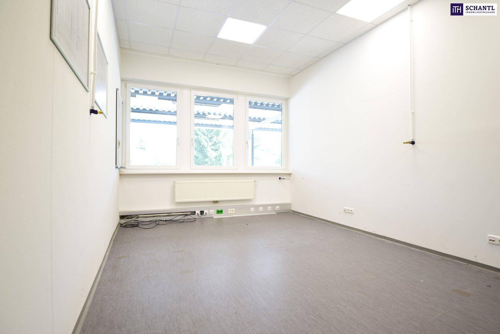 Kleineres Büro mit Teppichboden, Fensterfront und weiß gestrichenen Wänden.