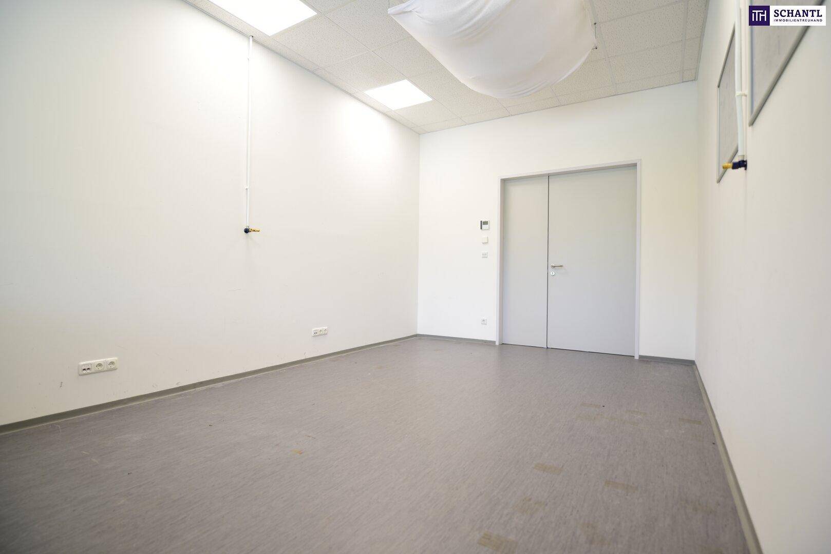 Leeres Büro mit Teppichboden und Doppeltür, bereit zur individuellen Gestaltung.