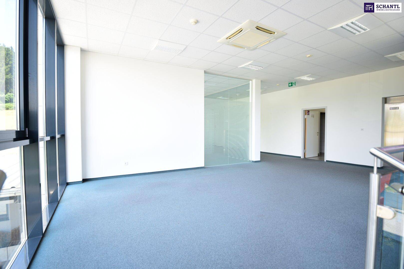 Geräumiges Büro mit großen Fenstern, Teppichboden und moderner Deckenbeleuchtung, ideal für Arbeitsbereiche.