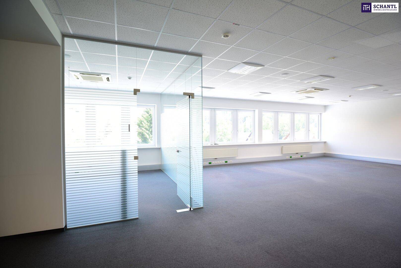 Heller Büroraum mit Teppichboden, Glaswänden und einer Reihe von Fenstern, die viel Tageslicht hereinlassen.
