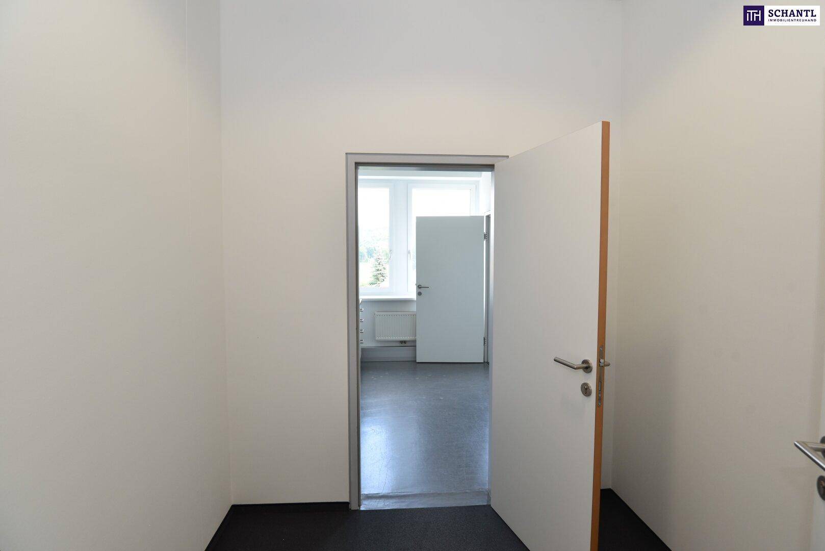 Eingangsbereich zu einem Büro mit Teppichboden und einer Tür, die in einen hellen Raum führt.