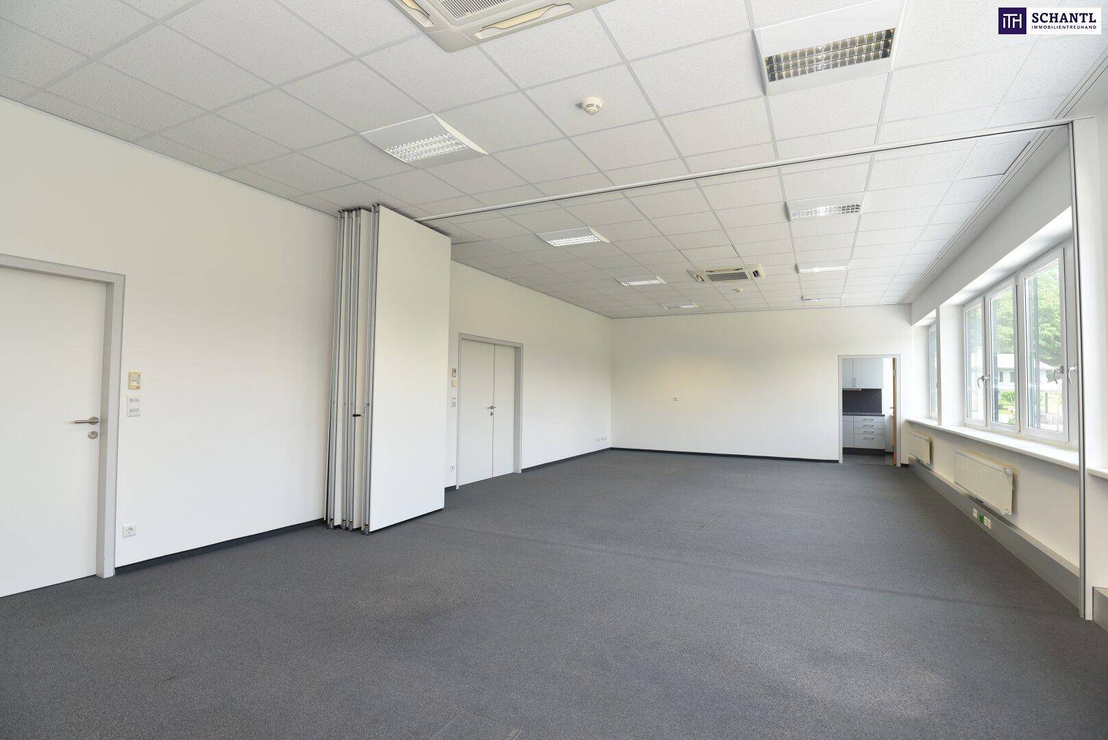Großer, flexibler Büroraum mit Teppichboden, weißen Wänden und einer Fensterfront, die viel Licht spendet.
