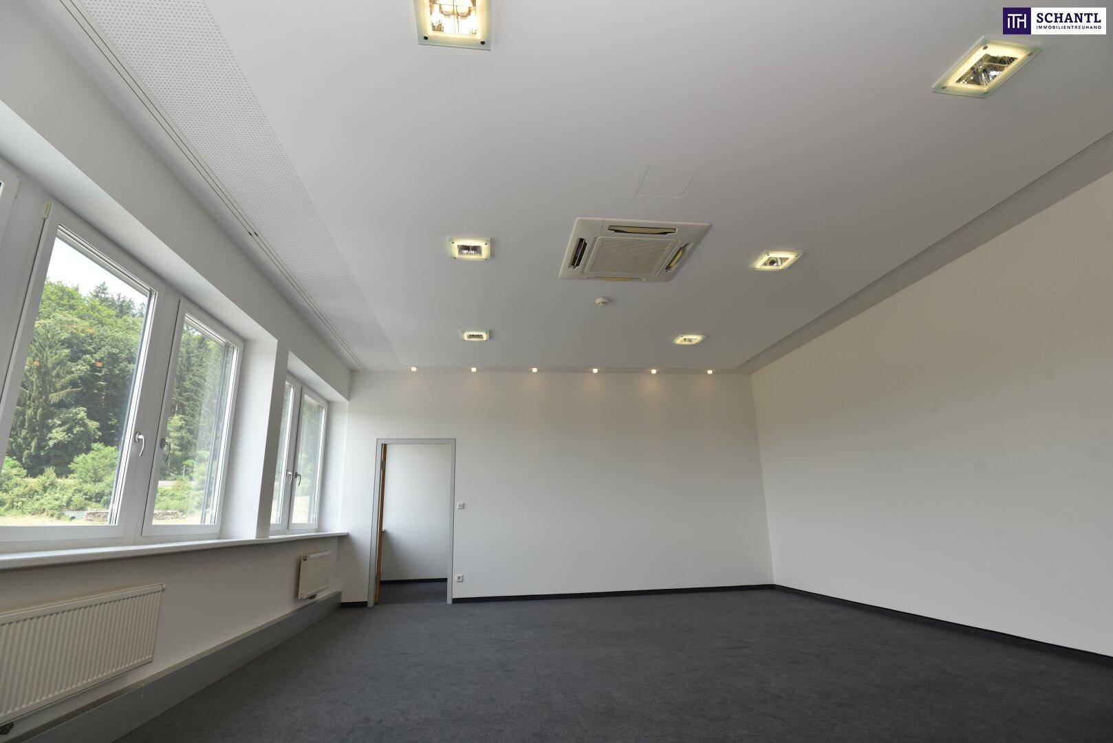 Geräumiges Büro mit Teppichboden, großen Fenstern und moderner Deckenbeleuchtung, die für eine gute Ausleuchtung sorgt.