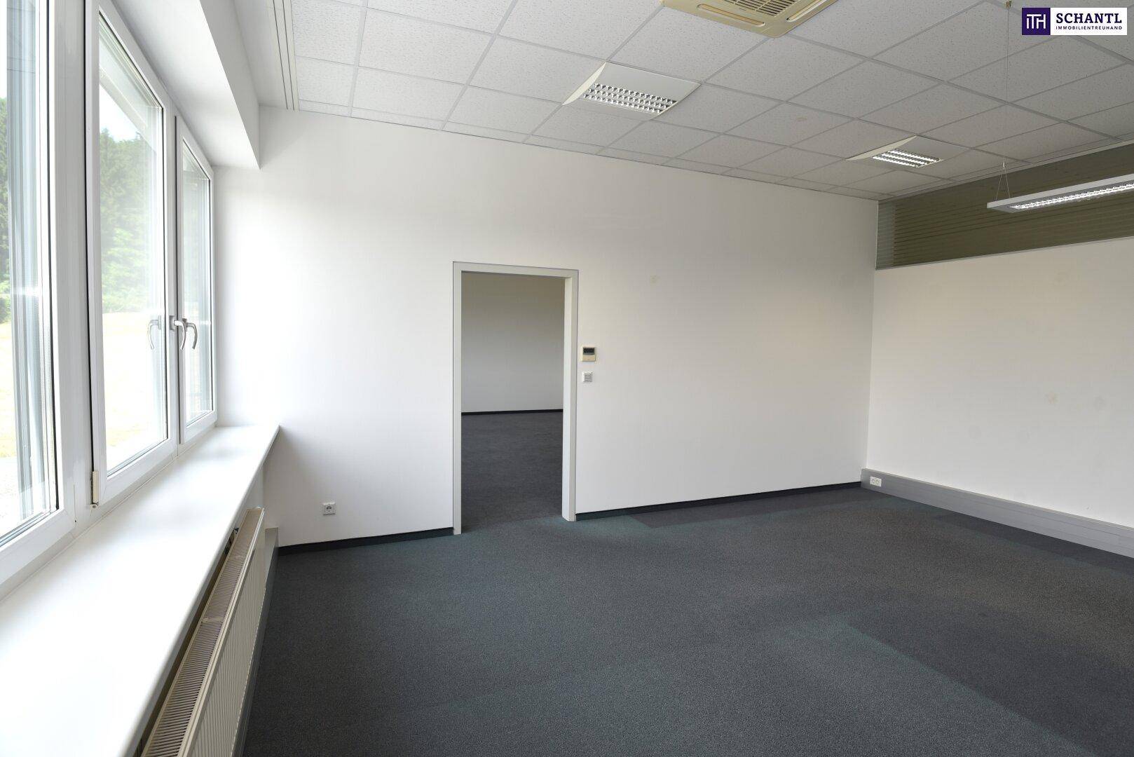 Heller Büroraum mit Teppichboden, weißen Wänden und einer Fensterfront, die einen Blick ins Grüne bietet.