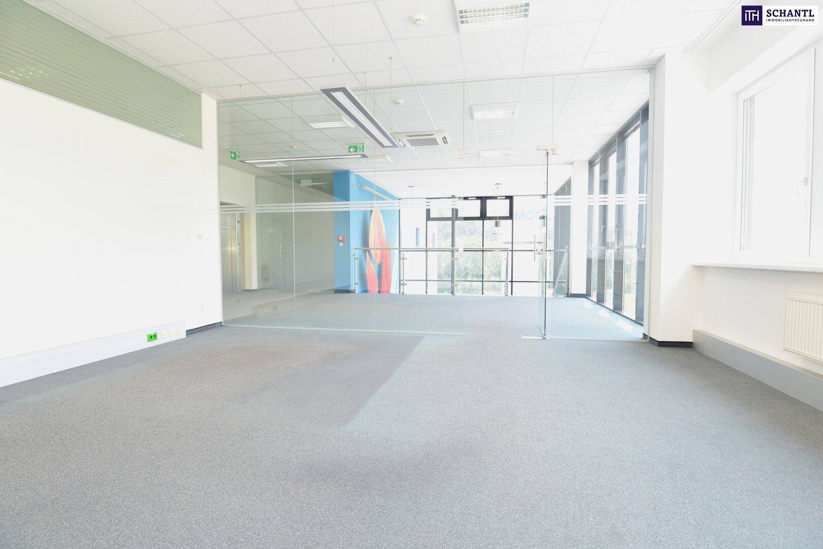 Geräumiger Büroraum mit Teppichboden, Glaswänden und großen Fenstern, die viel Tageslicht hereinlassen.