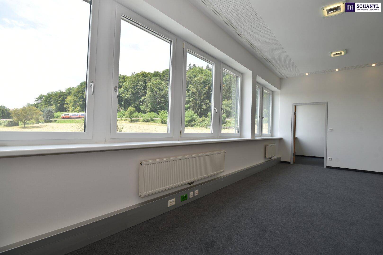 Geräumiges Büro mit Teppichboden und einer langen Fensterfront, die einen schönen Blick ins Grüne bietet.