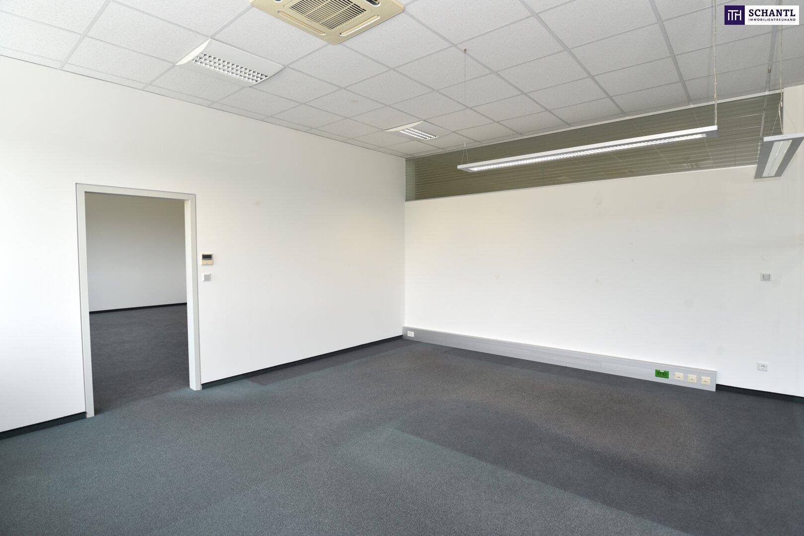 Leerer Büroraum mit Teppichboden, weißen Wänden und abgehängter Decke mit integrierter Beleuchtung.