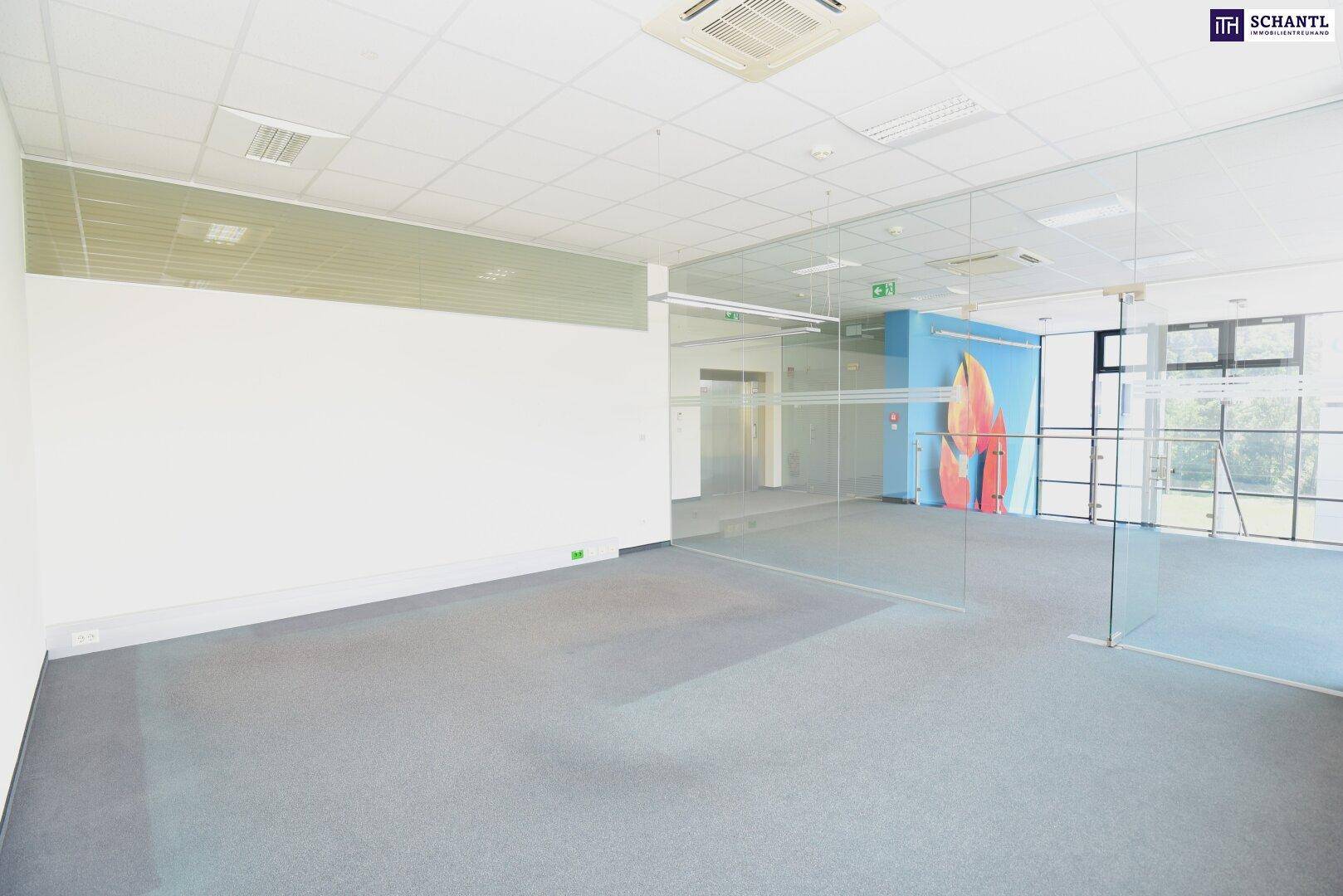 Geräumiger Bürobereich mit Teppichboden, Glaswänden und einer farbigen Akzentwand, ideal für offene Konzepte.