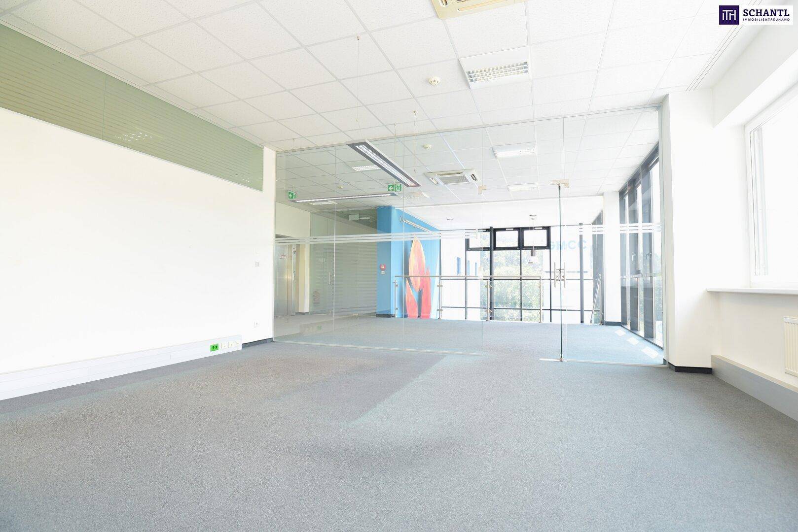 Geräumiger Bürobereich mit Teppichboden, großen Fenstern und einer modernen Glasabtrennung.