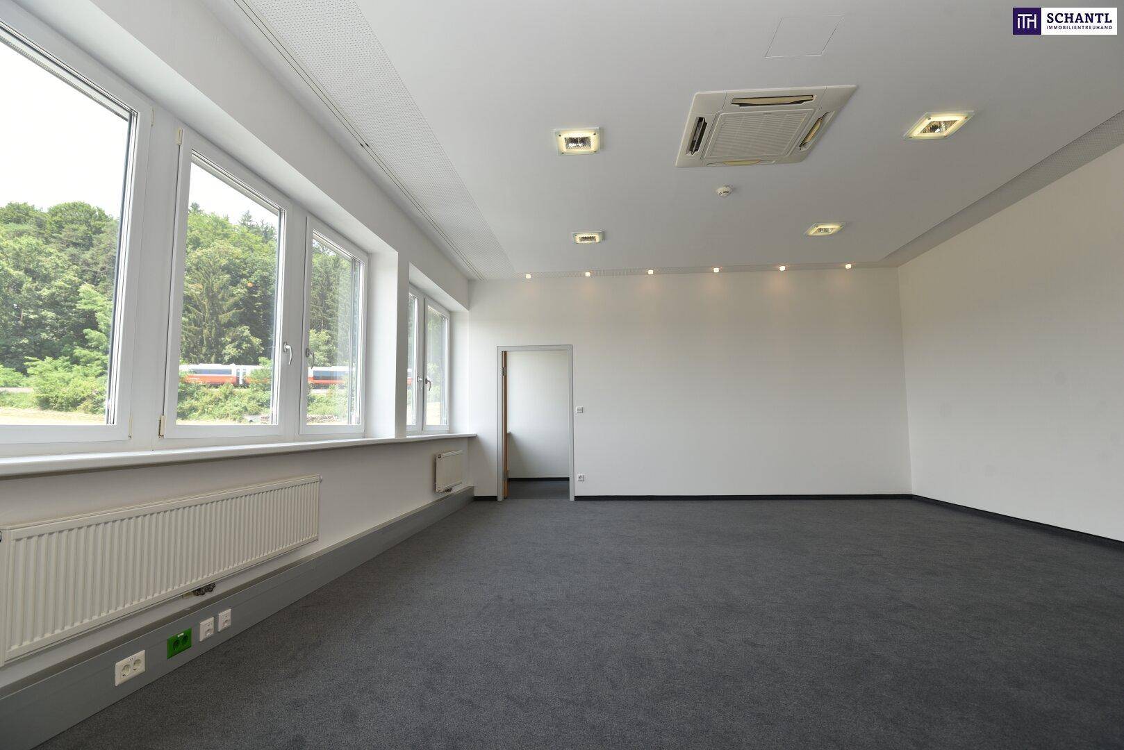Heller Büroraum mit Teppichboden, großen Fenstern und Deckenbeleuchtung, bietet viel Tageslicht.