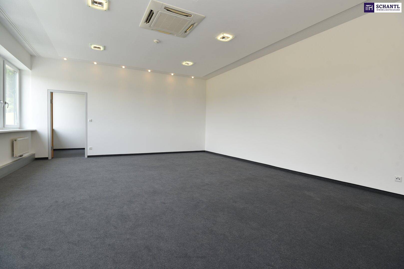 Leerer Büroraum mit Teppichboden, weißen Wänden und moderner Deckenbeleuchtung, bereit zur Nutzung.