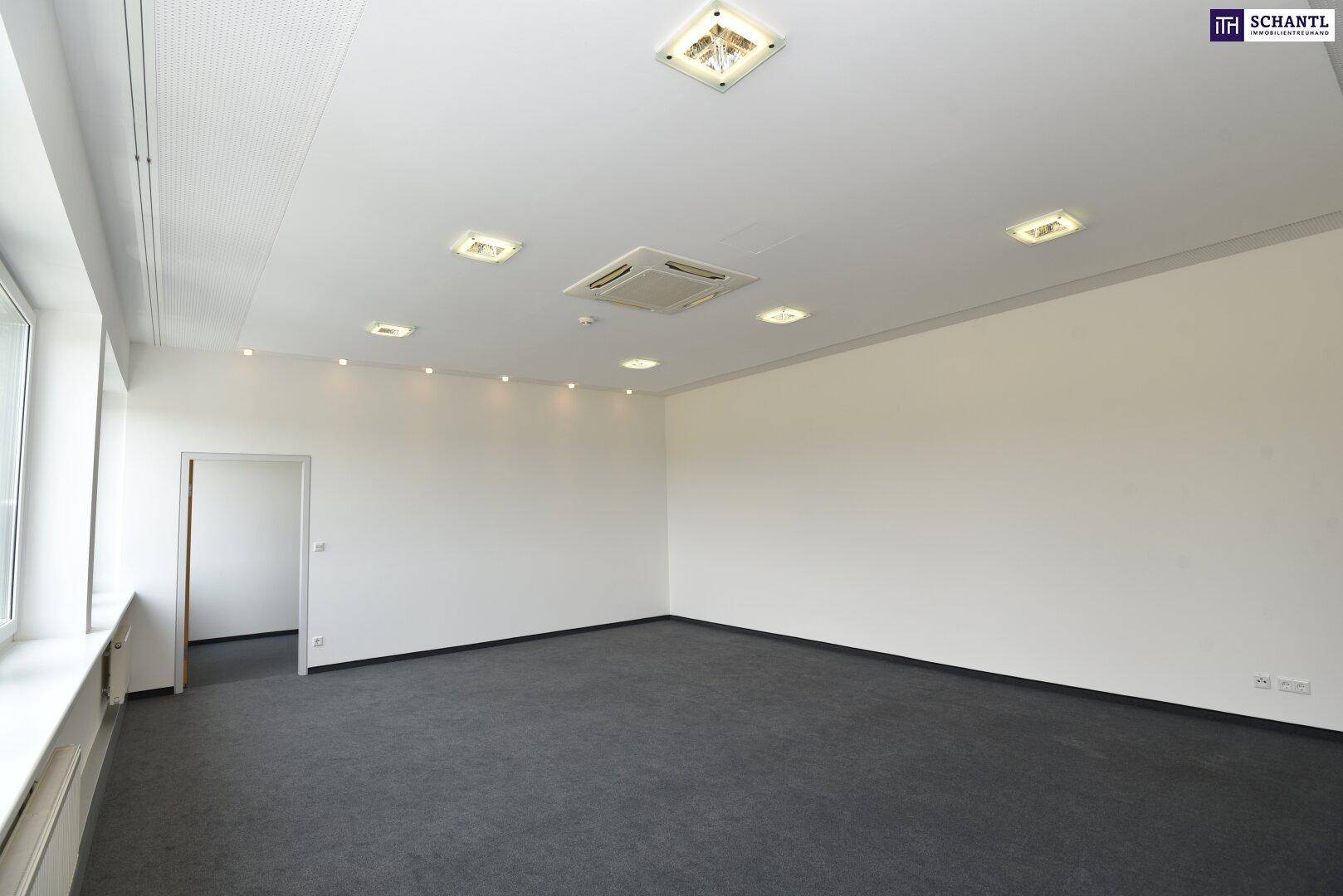 Heller Büroraum mit Teppichboden, weißen Wänden und Deckenbeleuchtung, ideal für konzentriertes Arbeiten.