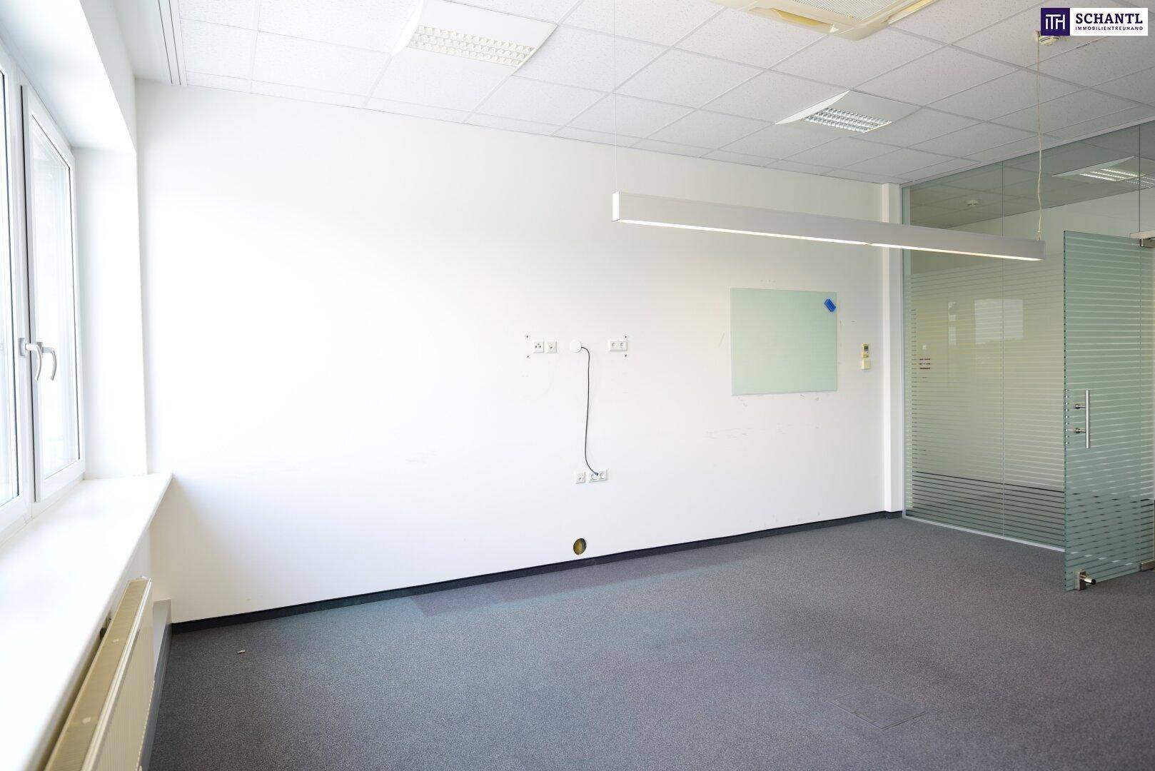 Büroraum mit Teppichboden, weißer Wand und einer Glaswand, die den Raum unterteilt.
