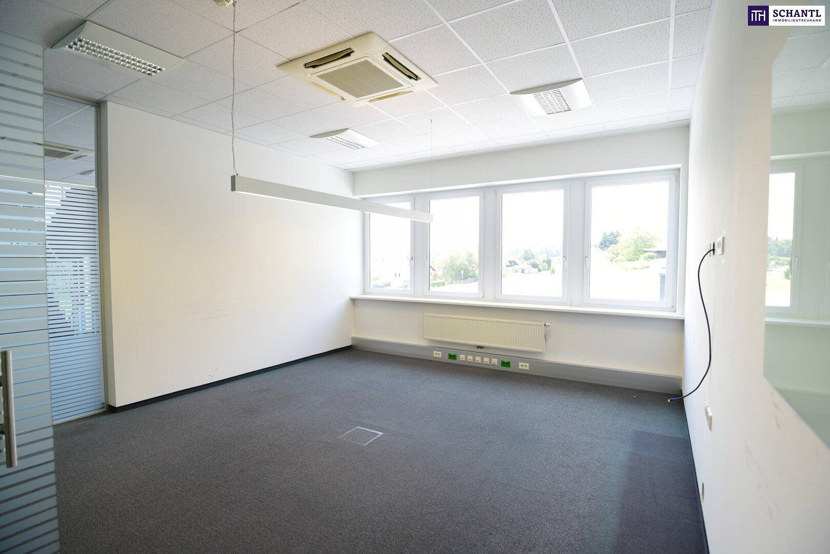 Heller Büroraum mit Teppichboden, großen Fenstern und einer modernen Deckenleuchte.