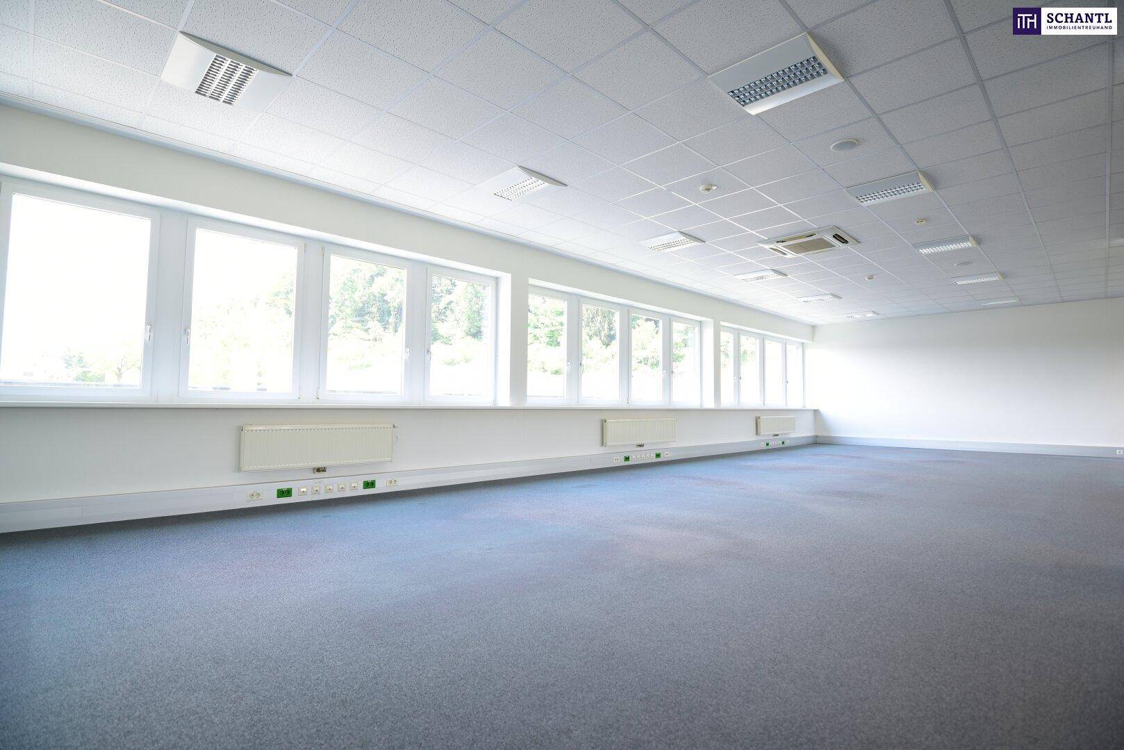 Geräumiger, offener Bürobereich mit Teppichboden und einer langen Fensterfront, die viel Licht spendet.