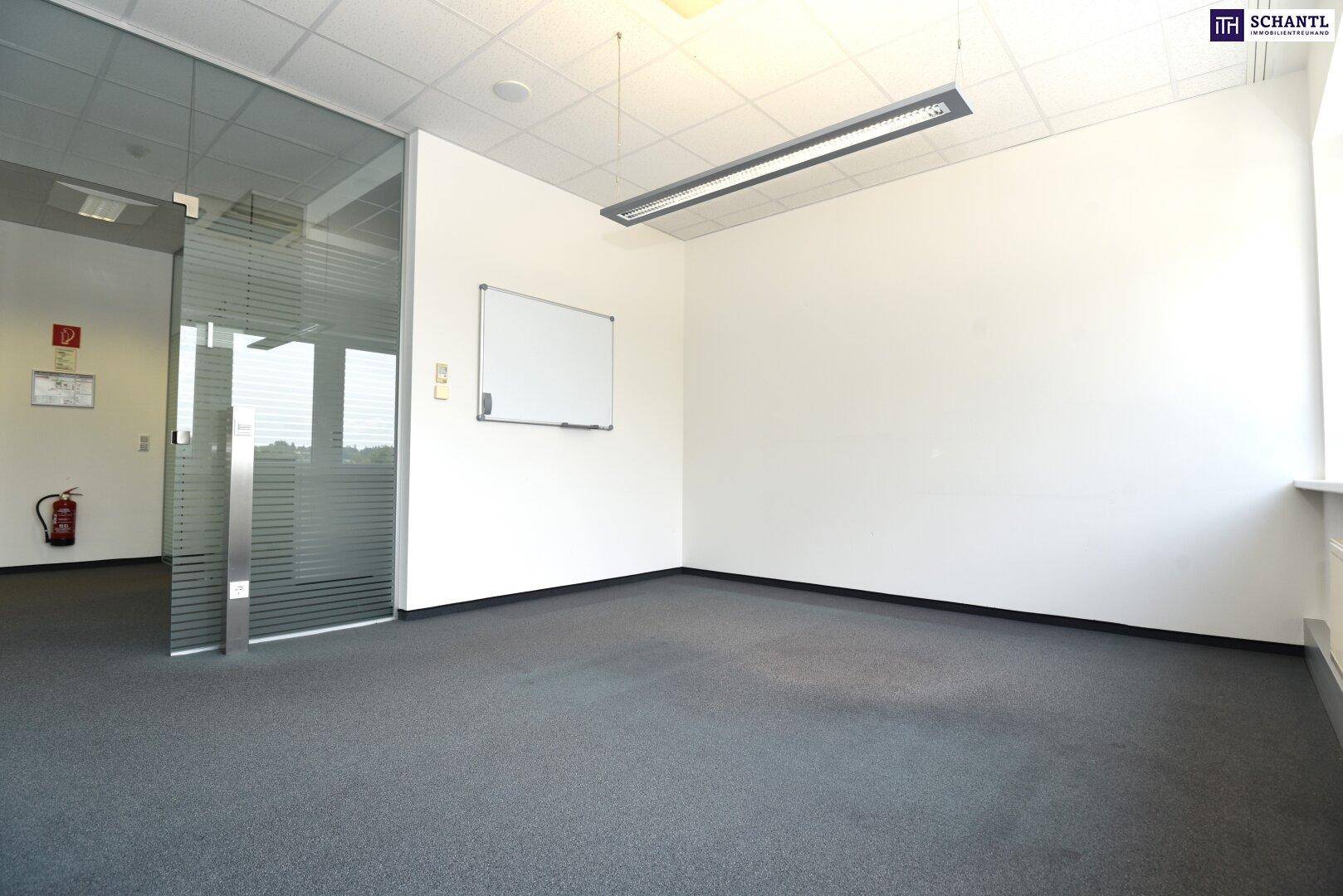 Helles Büro mit Teppichboden, weißen Wänden und einer modernen Glasabtrennung, bereit zur Einrichtung.