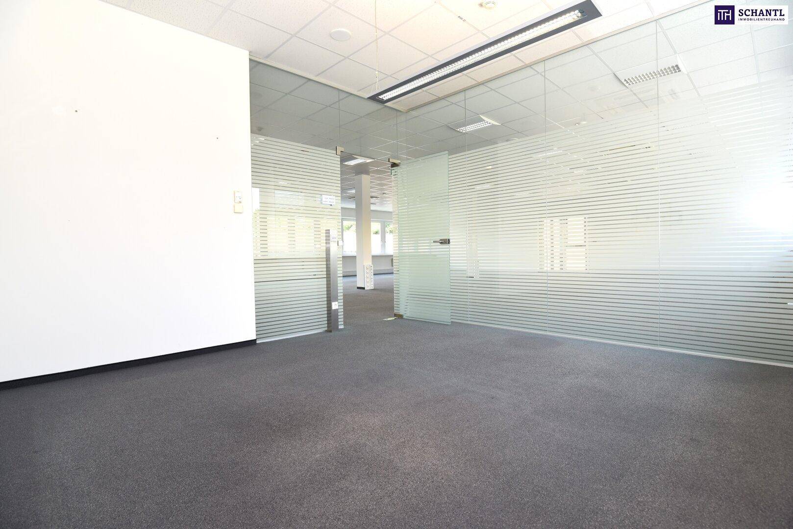 Modernes Büro mit durchsichtigen Glaswänden, Teppichboden und heller Deckenbeleuchtung, bietet viel Flexibilität.