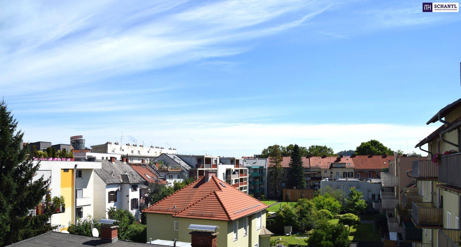 Panoramablick über eine ruhige Wohngegend mit vielen Häusern, Bäumen und weitem Himmel.