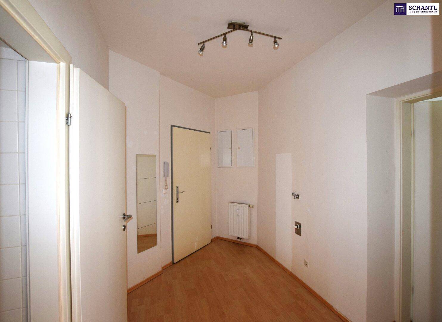 Heller Flur mit Holzboden, Garderobenspiegel und Zugang zu weiteren Räumen.