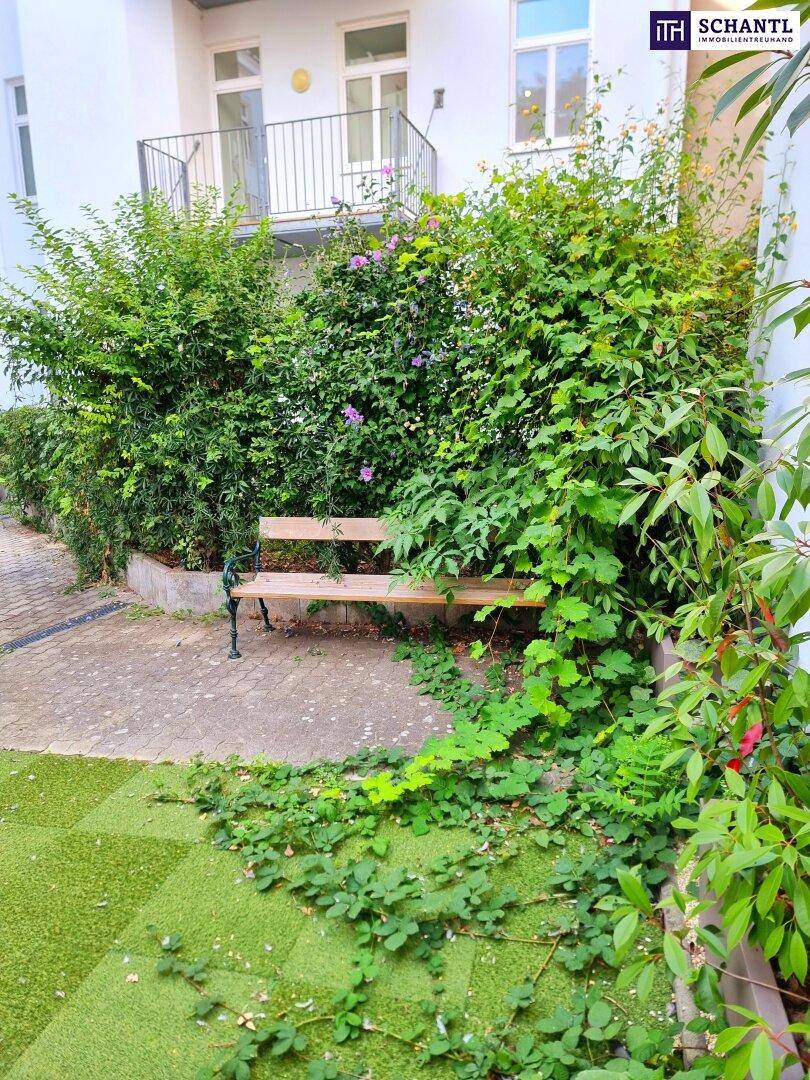 Grüne Gartenanlage mit Sitzbank und üppiger Bepflanzung, ideal zum Entspannen.
