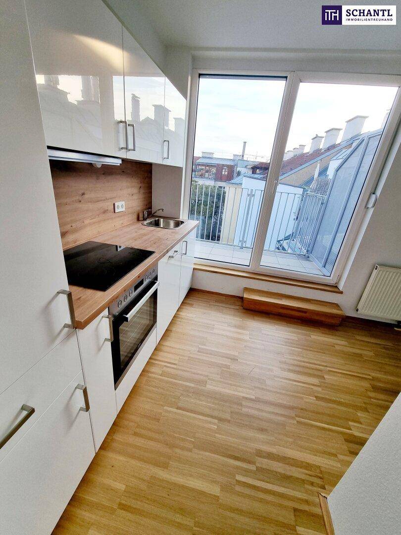 Helle Küchenzeile mit Induktionskochfeld, Backofen und Blick durch große Fenster nach draußen.
