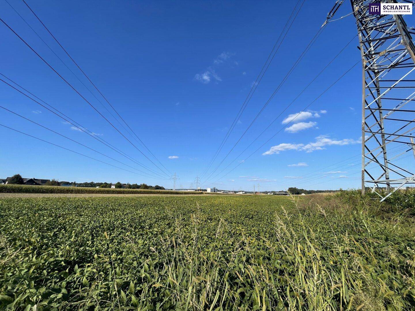 Weites Feld unter blauem Himmel mit Hochspannungsleitungen in ländlicher Umgebung.