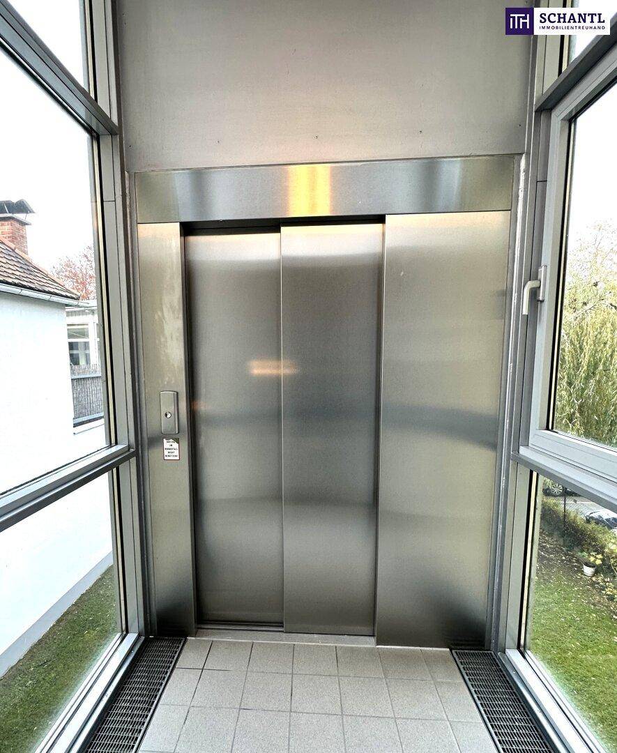 Moderner Aufzug mit Edelstahltüren und großen Fenstern, die viel Licht hereinlassen.