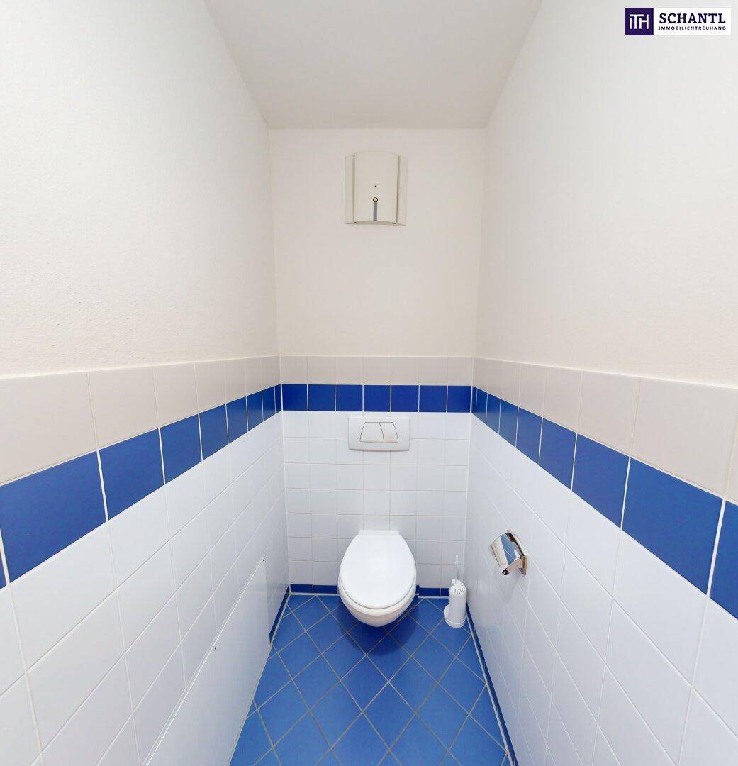 Kleines Gäste-WC mit blauen und weißen Fliesen, funktional und sauber gestaltet.