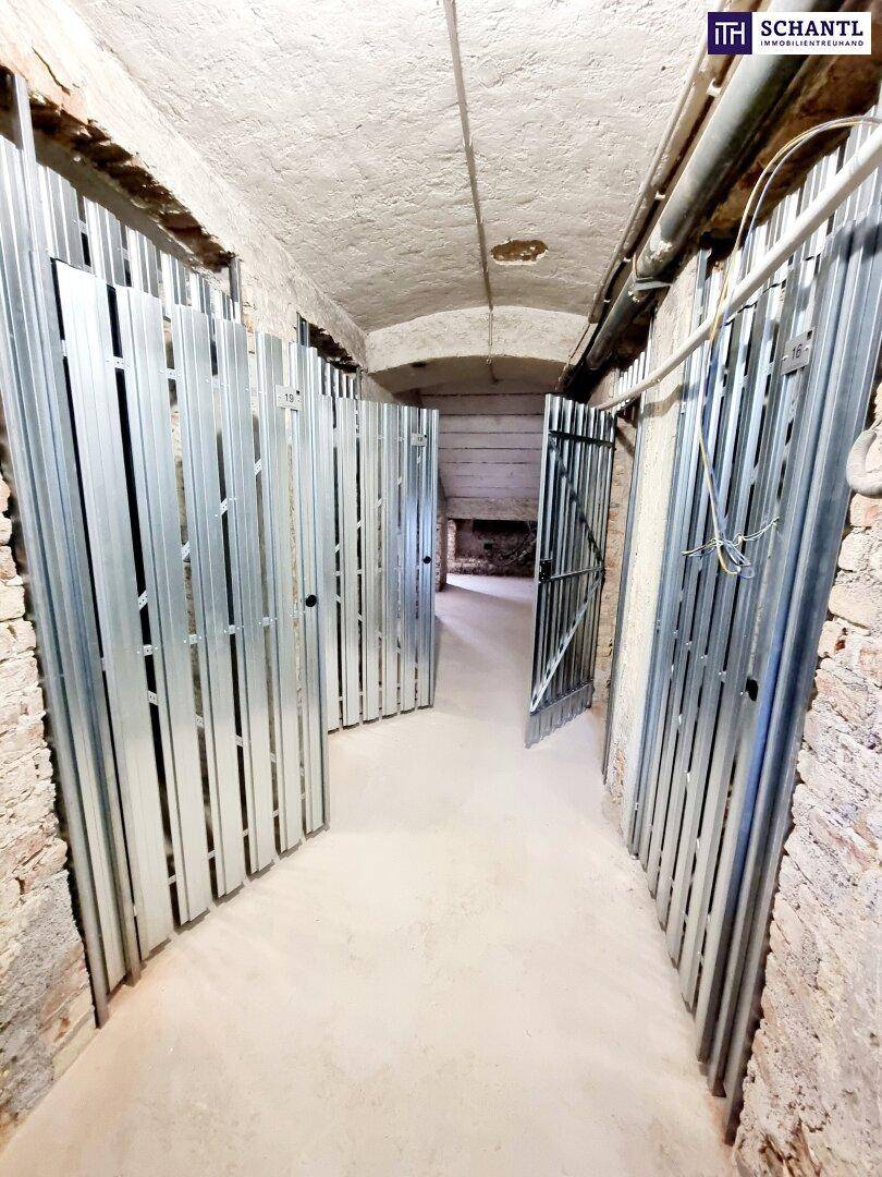 Geräumiger Kellerflur mit offenen und geschlossenen Metallabteilen für Lagerzwecke.