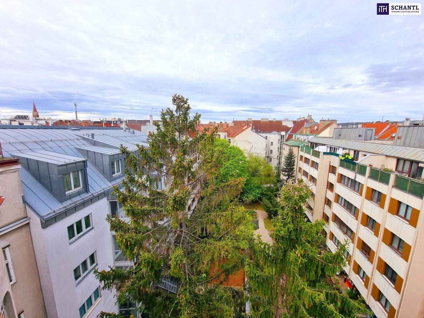 Panoramablick über die Stadt mit hohen Bäumen und verschiedenen Wohngebäuden.