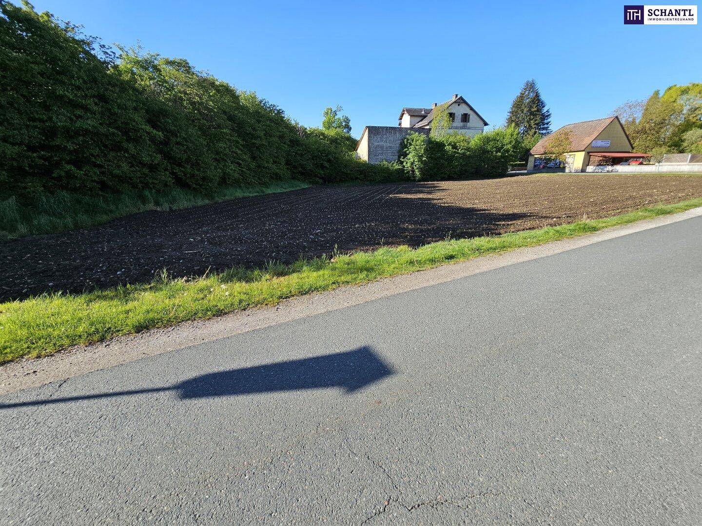 Offenes Feld neben einer Landstraße mit Häusern und Bäumen im Hintergrund an einem sonnigen Tag.