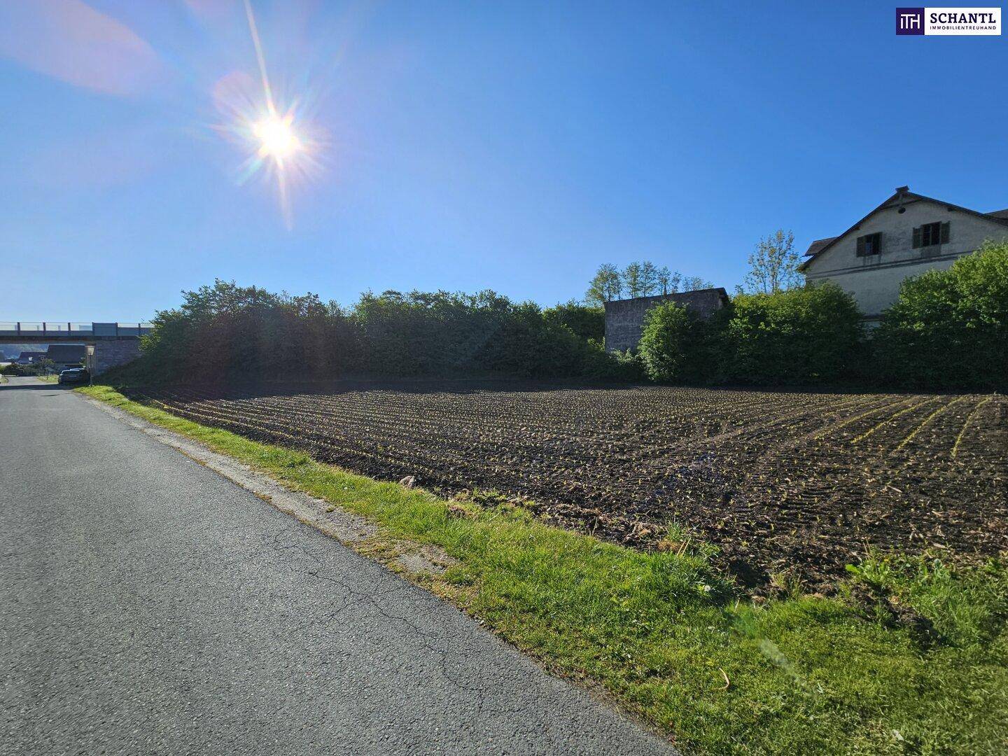 Weitläufiges Ackerland mit einem Gebäude und einer Brücke im Hintergrund unter blauem Himmel.